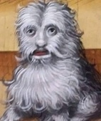 nekopao