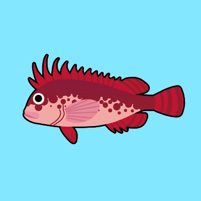 カナコギ
