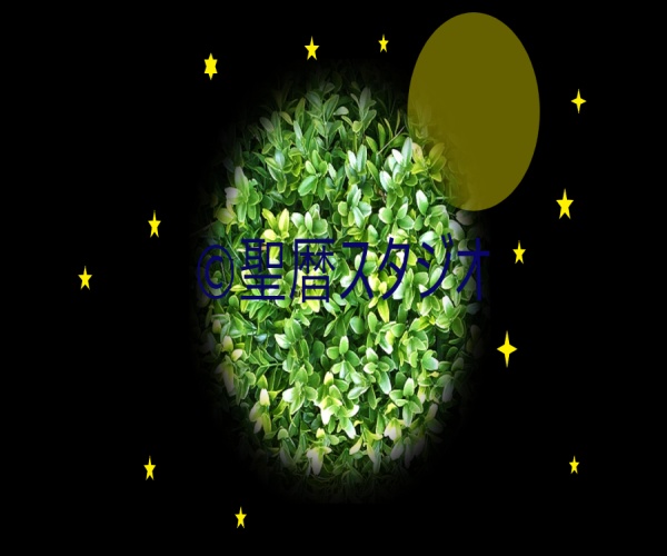 聖暦スタジオ