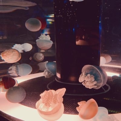 0913店