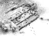 niotangu