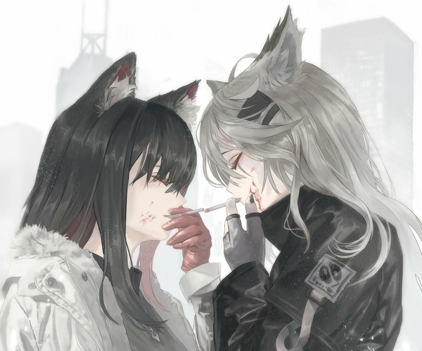 まめねこ