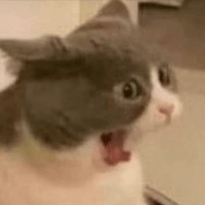 chosenonevr