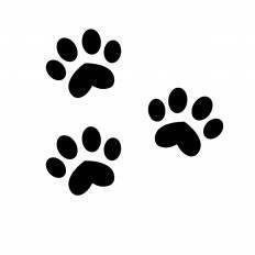 nekoshop