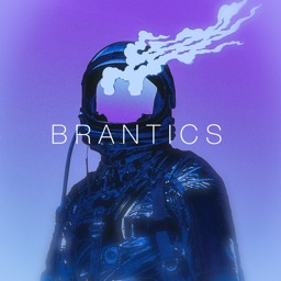 Brantics3DModels