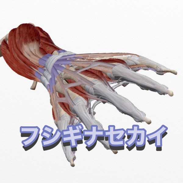 FUSHIGI NA SEKAI