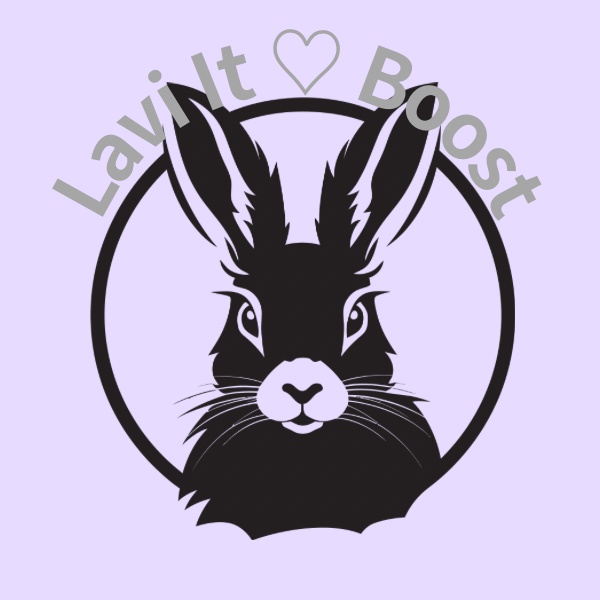 Lavi It♡Boost