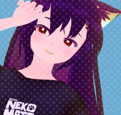 Not Your Neechan