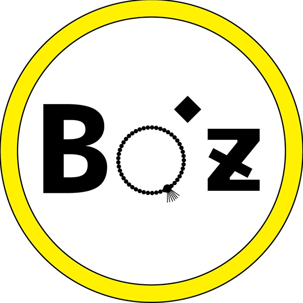 Bo'z