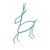 Cica