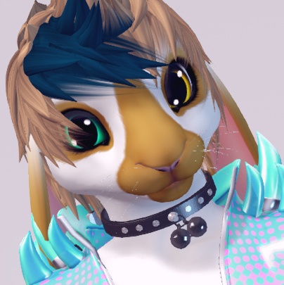 ZaWoo