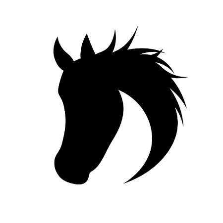 Darkhorse Productions