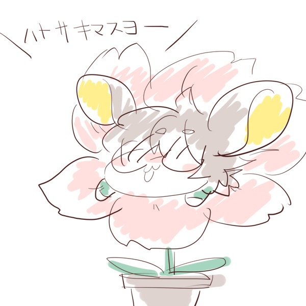 シロさんち