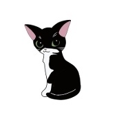 くろしろや