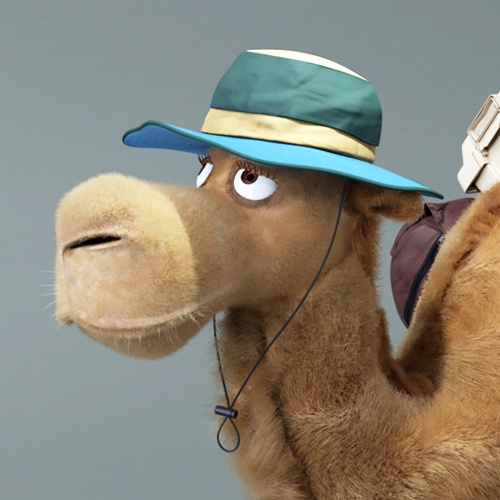 Camel 3D Works