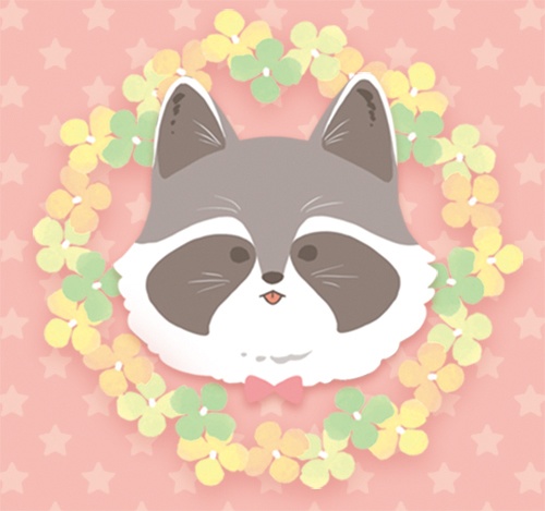 浣熊✦アライグマ✦Raccoon