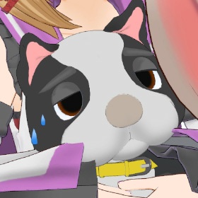 せんたく研究所　